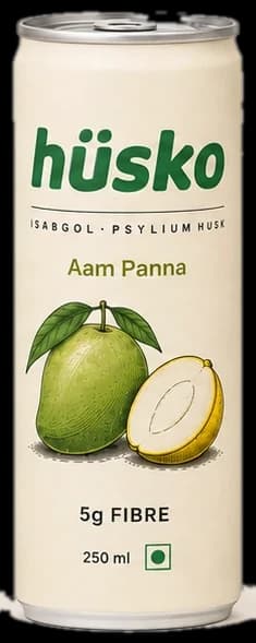 hüsko Aam Panna 250 ml can